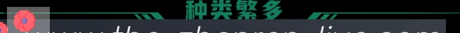 DB真人服务体系